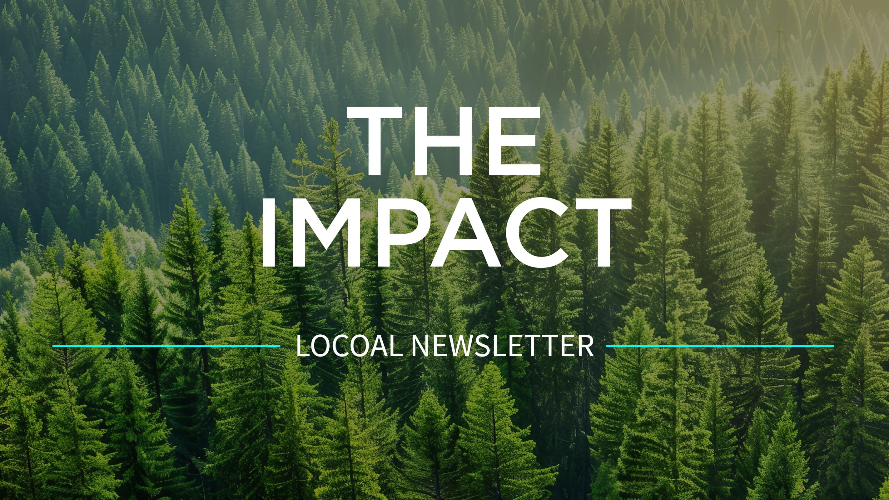 Locoal Newsletter: May 2025
